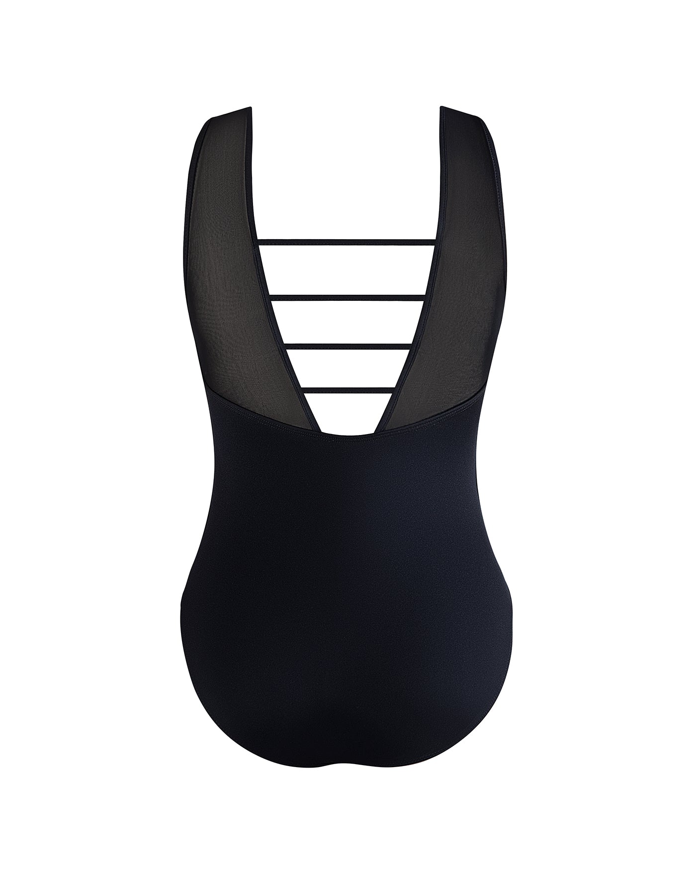 Lisa Mesh Leotard