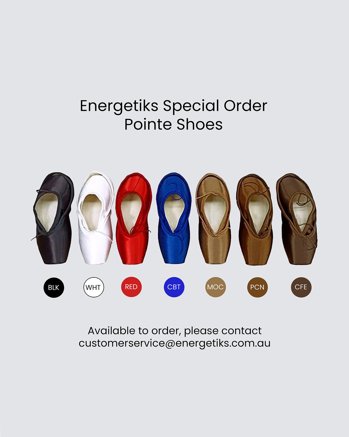 Energetiks Melody Pointe Shoe