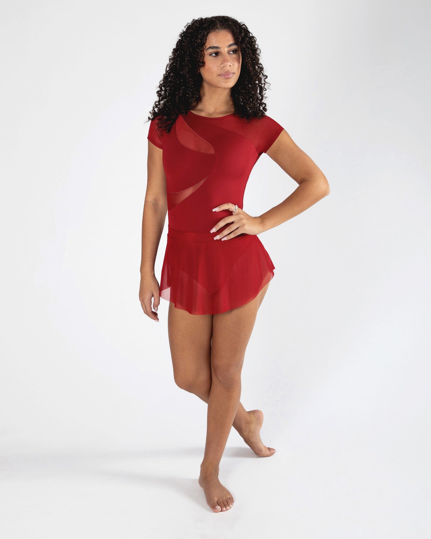 Natalia Mesh Split Skirt