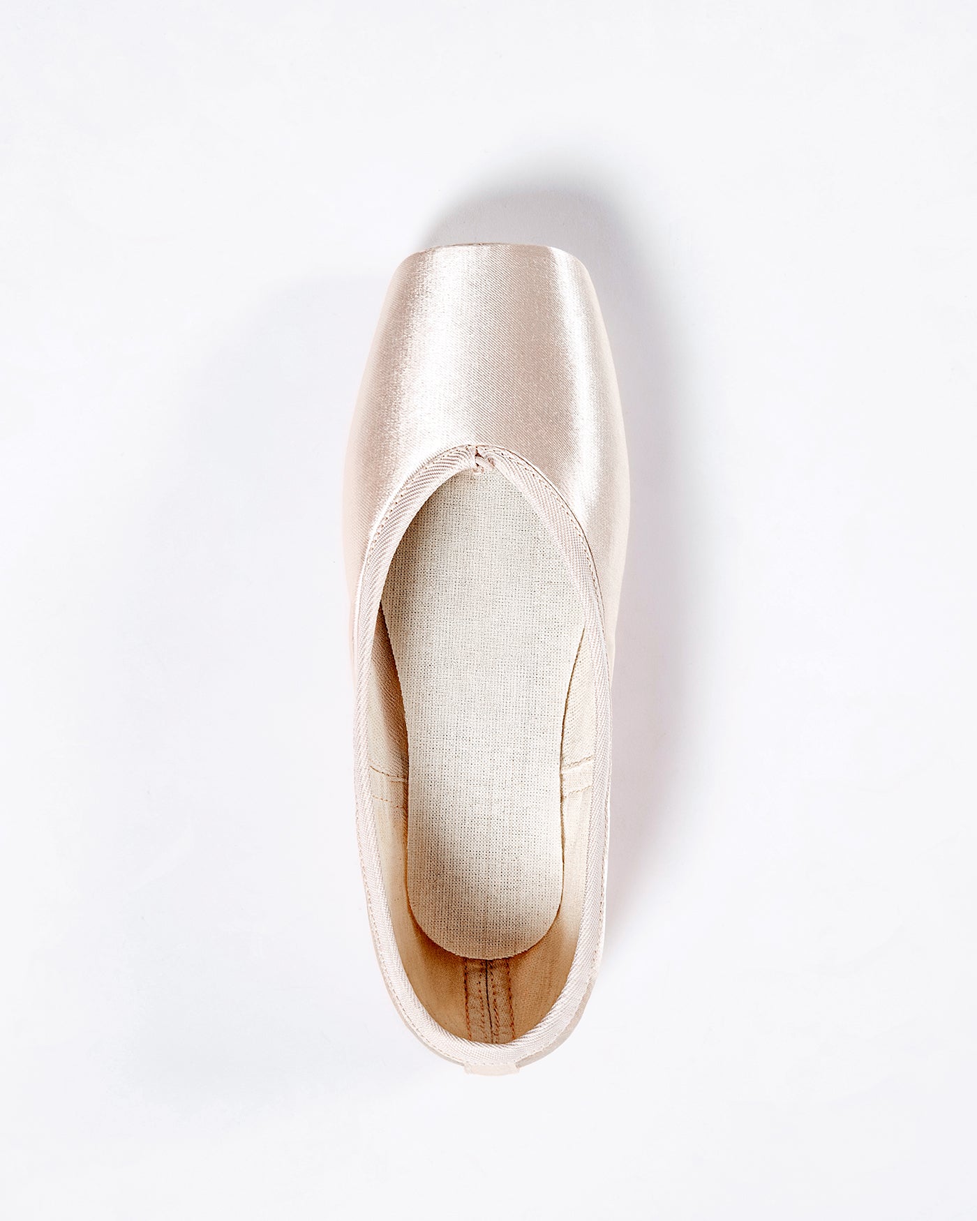 Energetiks Athena Pointe Shoe