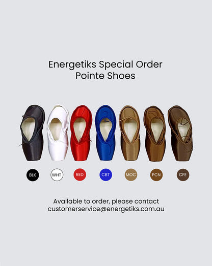Energetiks Emilia Pointe Shoe