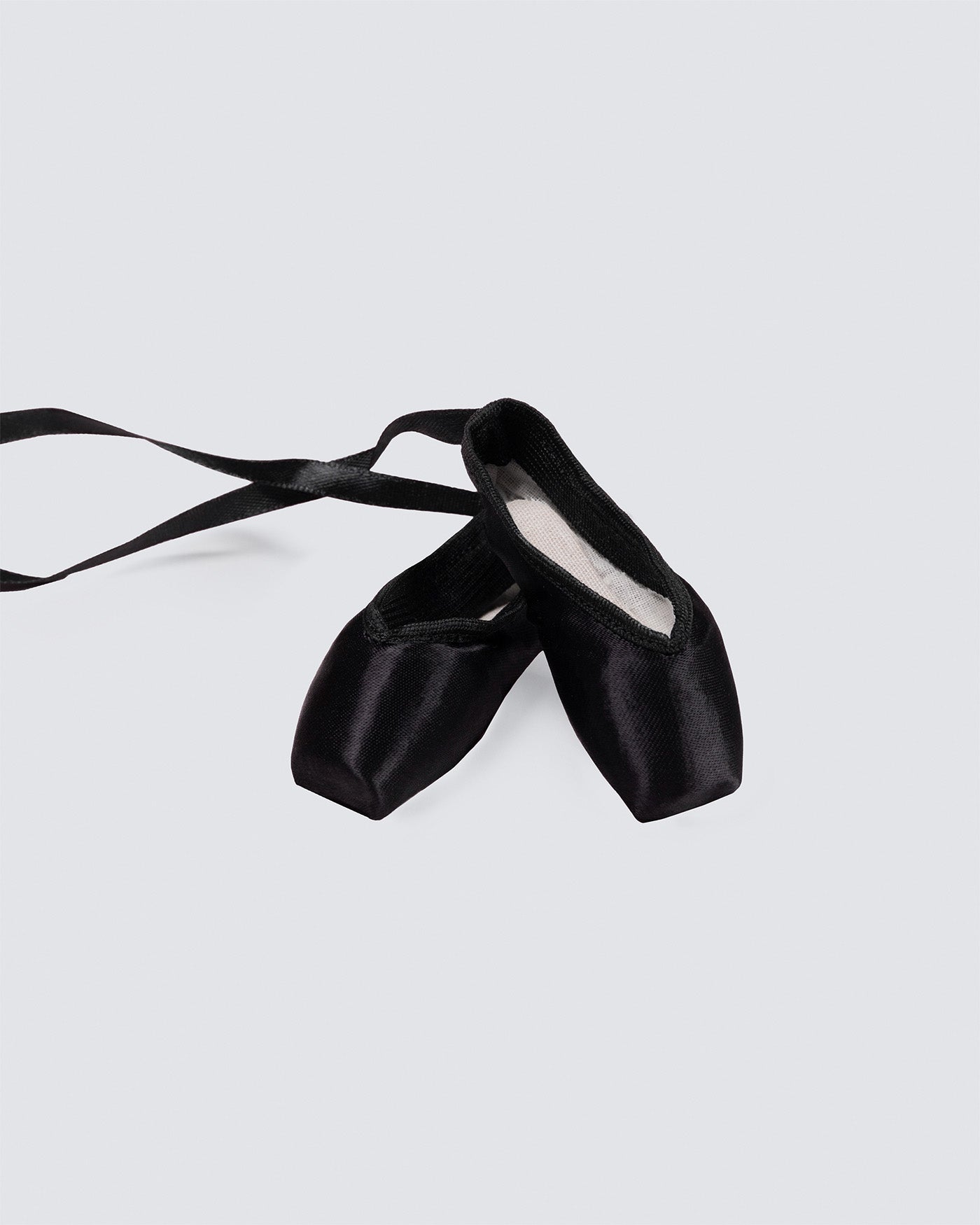 Souvenir Pointe Shoes