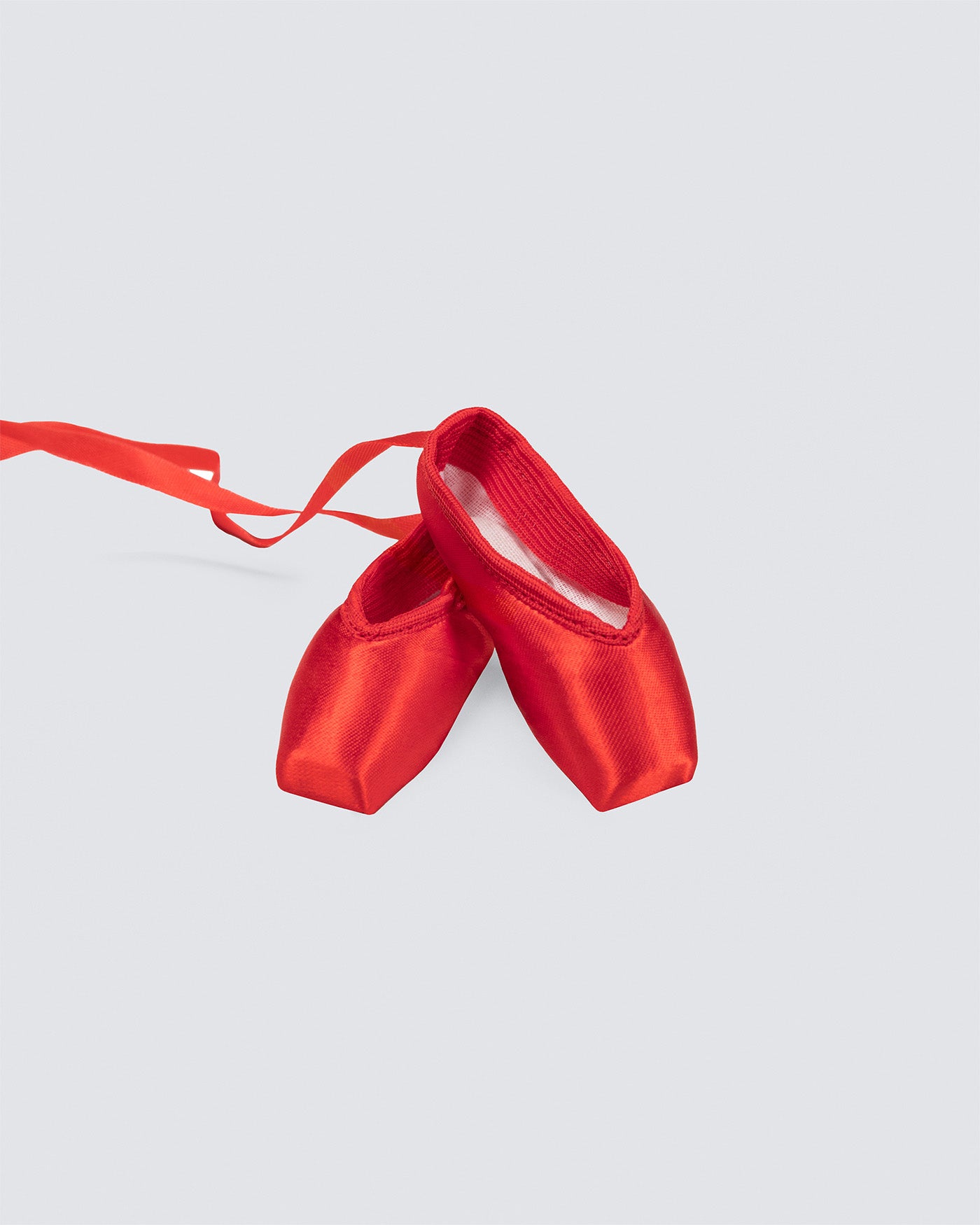 Souvenir Pointe Shoes