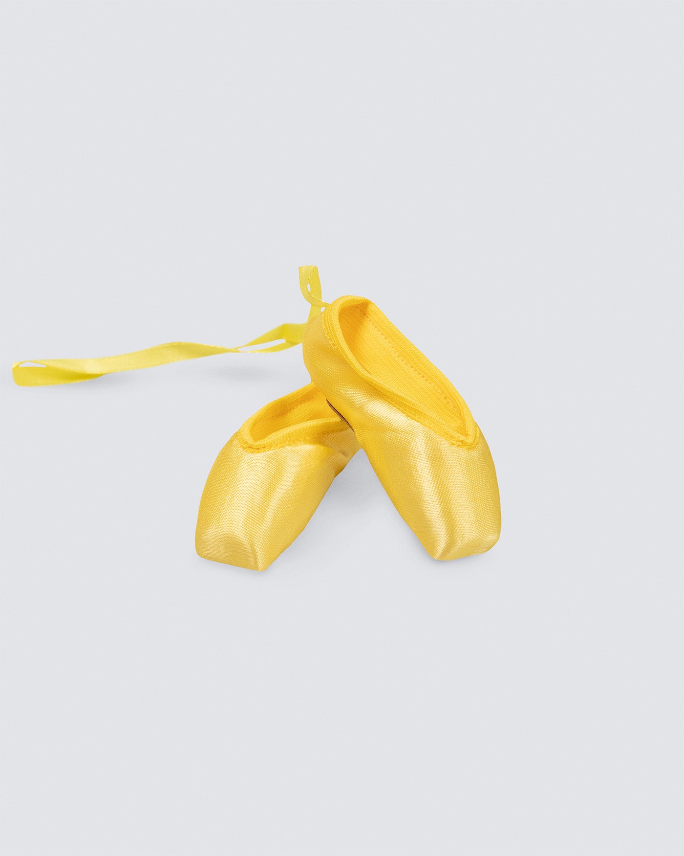 Souvenir Pointe Shoes