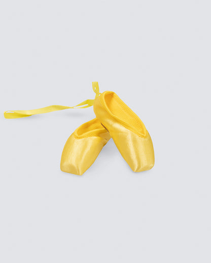 Souvenir Pointe Shoes